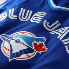 MLB Joe Carter Toronto Blue Jays Mitchell & Ness Authentic Batting Practice Jersey - Royal
