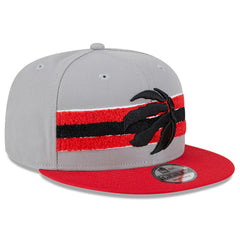 Toronto Raptors Chenille Band 9FIFTY Snapback Hat Gray