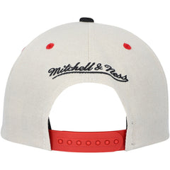 Philadelphia 76ers Hardwood Classics Pop Snapback Hat Cream