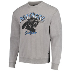 Carolina Panthers The Wild Collective Unisex Distressed Pullover Sweatshirt Gray