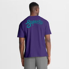 Arizona Diamondbacks Nike City Connect 2-Hit Max90 Pocket T-Shirt - Purple T-shirts
