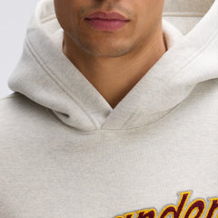 Washington Commanders IconicFleece Tipped Hoodie Oatmeal