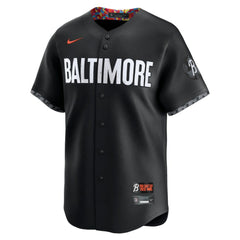 MLB Adley Rutschman Baltimore Orioles Nike City Connect Limited Player Jersey - Black