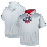 New Orleans Pelicans Big & Tall Logo Pullover Hoodie Silver