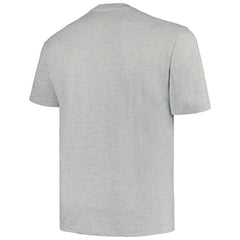 NHL Minnesota Wild Profile Big & Tall Arch Over Logo T-Shirt - Heather Gray