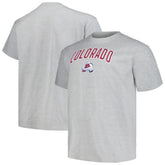 NHL Colorado Avalanche Profile Big & Tall Arch Over Logo T-Shirt - Heather Gray