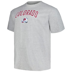 NHL Colorado Avalanche Profile Big & Tall Arch Over Logo T-Shirt - Heather Gray