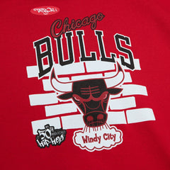 Chicago Bulls x Tats Cru Hardwood Classics Brick Pullover Hoodie Red