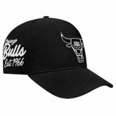 Chicago Bulls Pro Standard Paint the City Pinch Front Snapback Hat Black