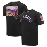 St. Louis Cardinals Pro Standard Cityscape T-Shirt - Black T-shirts