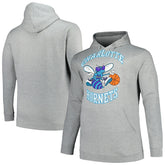 Charlotte Hornets Hardwood Classics Big & Tall Pullover Hoodie Heather Gray