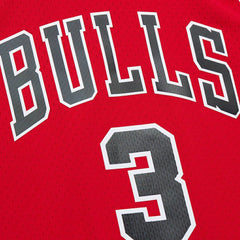 NBA Dwyane Wade Chicago Bulls 2016/17 Hardwood Classics Swingman Jersey sale - Red