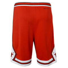 Chicago Bulls Youth Swingman Performance Shorts Red Icon Edition