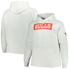 Chicago Bulls Big & Tall Raglan Tri-Blend Pullover Hoodie Ash