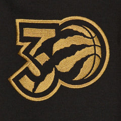 Toronto Raptors 2024/25 City Edition Chenille Heavyweight Pullover Hoodie Black