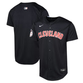 MLB Cleveland Guardians Nike Youth Alternate Limited Jersey - Navy