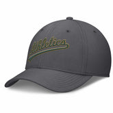 Athletics Nike Swoosh Performance Flex Hat - Gray Hats