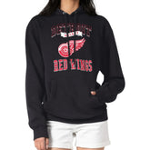 NHL Detroit Red Wings G-III 4Her by Carl Banks Women's Team Logo Tri-Blend Fleece Pullover Hoodie - Black