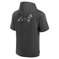Carolina Panthers Elements Future Ground Lettering Short Sleeve Pullover Hoodie Charcoal