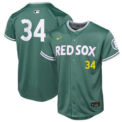 MLB David Ortiz Boston Red Sox Nike Youth 2025 City Connect Limited Retired Player Jersey - Green