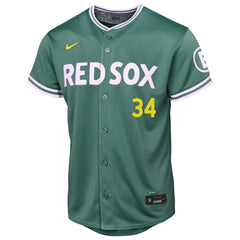 MLB David Ortiz Boston Red Sox Nike Youth 2025 City Connect Limited Retired Player Jersey - Green