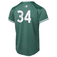 MLB David Ortiz Boston Red Sox Nike Youth 2025 City Connect Limited Retired Player Jersey - Green