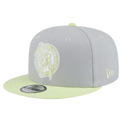 Boston Celtics Color Pack Two-Tone 9FIFTY Snapback Hat Gray/Light Green