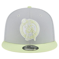 Boston Celtics Color Pack Two-Tone 9FIFTY Snapback Hat Gray/Light Green