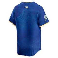 MLB Minnesota Twins Nike City Connect Limited Jersey - Royal