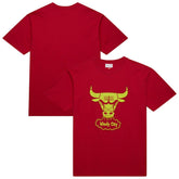 Chicago Bulls Hardwood Classics Neon Nights Premium T-Shirt Red