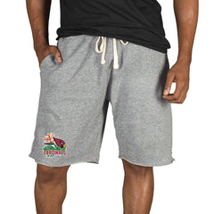 Arizona Cardinals Concepts Sport Mainstream Tri-Blend Shorts Gray