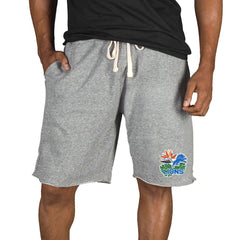 Detroit Lions Concepts Sport Mainstream Tri-Blend Shorts Gray
