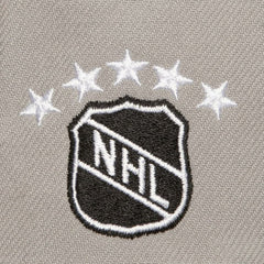 NHL Los Angeles Kings Mitchell & Ness Soul Triple Up Snapback Hat - Gray
