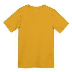 Pittsburgh Steelers Preschool Icon Legend Dri-FIT T-Shirt Gold
