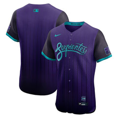 MLB Arizona Diamondbacks Nike 2025 City Connect Elite Jersey - Purple