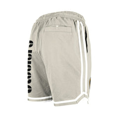 Pittsburgh Steelers New Era Stone Multi Patch Shorts Light Beige