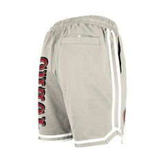 San Francisco 49ers New Era Stone Multi Patch Shorts Light Beige