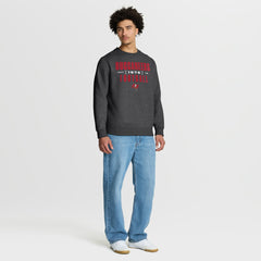Tampa Bay Buccaneers Powerful Throw Legacy Pullover Sweatshirt Heather Pewter