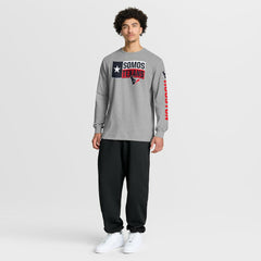 Houston Texans Hometown Sweep Legacy Long Sleeve T-Shirt Heather Gray