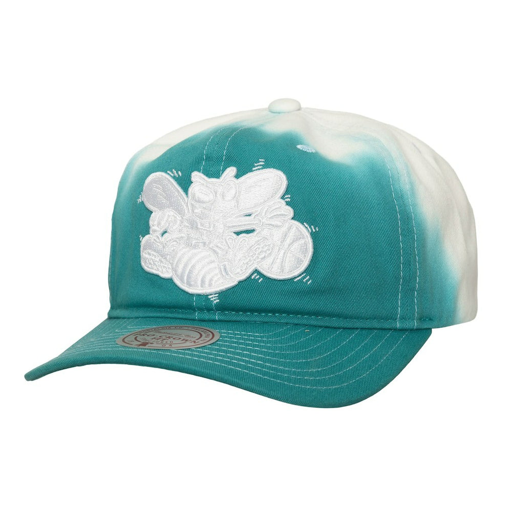 Charlotte Hornets Dip Dye Pro Crown Adjustable Hat Teal/White