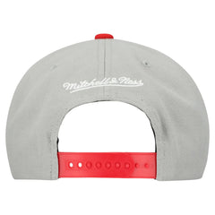 Boston Red Sox Mitchell & Ness Cooperstown Collection Basic Flip Snapback Hat - Gray Hats
