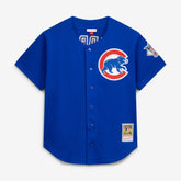 MLB Ryne Sandberg Chicago Cubs Mitchell & Ness Cooperstown Collection 1997 Mesh Batting Practice Button-Up Jersey - Royal