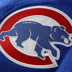 MLB Ryne Sandberg Chicago Cubs Mitchell & Ness Cooperstown Collection 1997 Mesh Batting Practice Button-Up Jersey - Royal