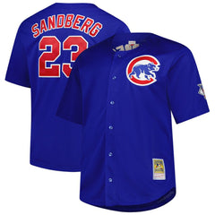 MLB Ryne Sandberg Chicago Cubs Mitchell & Ness Big & Tall Cooperstown Mesh Batting Practice Jersey - Royal