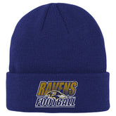 Baltimore Ravens Outerstuff Youth Team Gradient Cuffed Knit Hat Purple