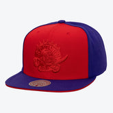 Toronto Raptors Color Pop Snapback Hat Red/Purple