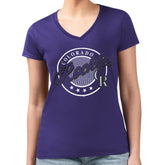 Colorado Rockies G-III 4Her by Carl Banks Women's Super-Slim Fit Lightweight Pinstripe Circle V-Neck T-Shirt - Purple T-shirts