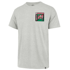 Tampa Bay Buccaneers '47 Chrome Plate Franklin T-Shirt Gray