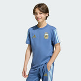 Argentina National Team Youth FIFA x World Cup Alphaskin T-Shirt Blue shop