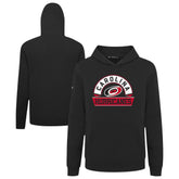NHL Carolina Hurricanes Levelwear Youth Podium Banner Arch Pullover Hoodie - Black
